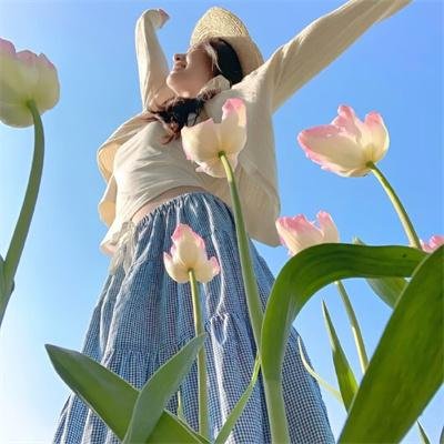 欧若拉之晨