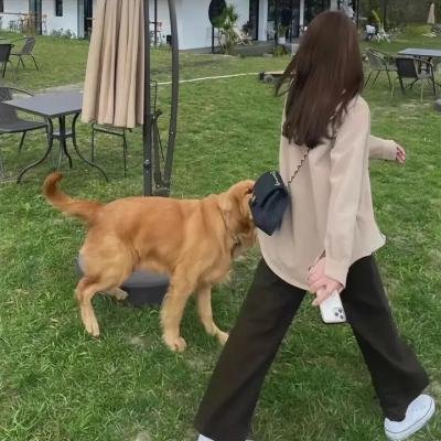 亲爱的萨玛