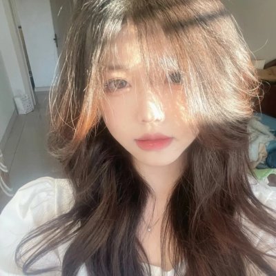 29片棕榈叶